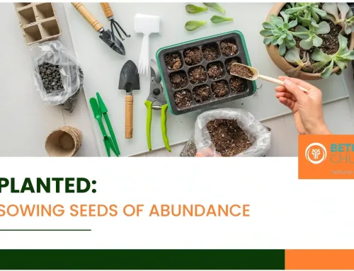 Planted: Sowing Seeds of Abundance